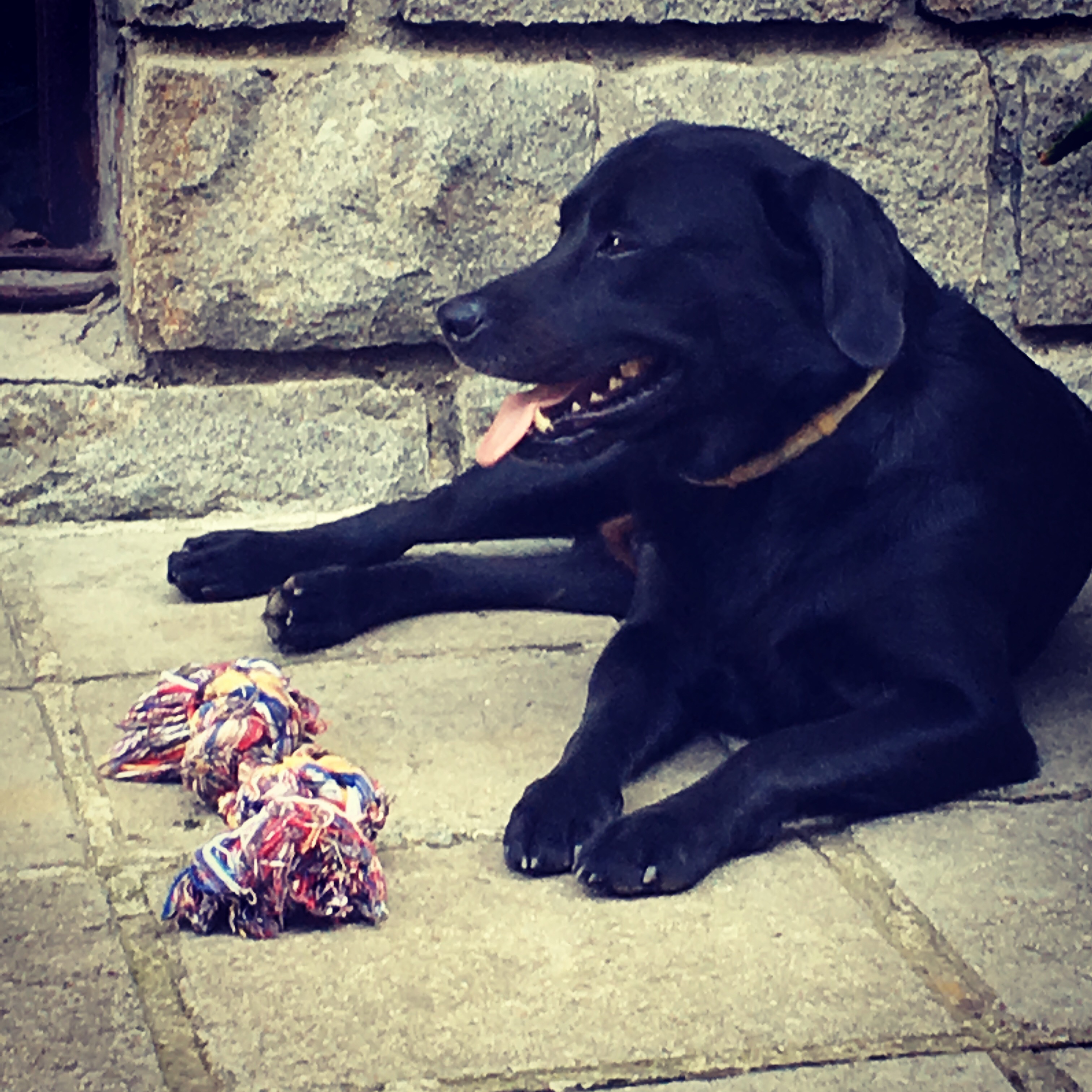 Моника Валявичарска